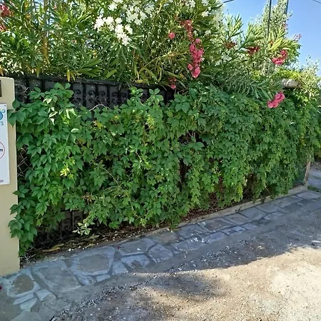 Selo Nea Kallikrateia